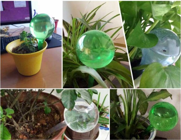 Self-watering system Imitation Glass Plant Waterer Flowers Automatic PVC Watering Device Ball Type Drip