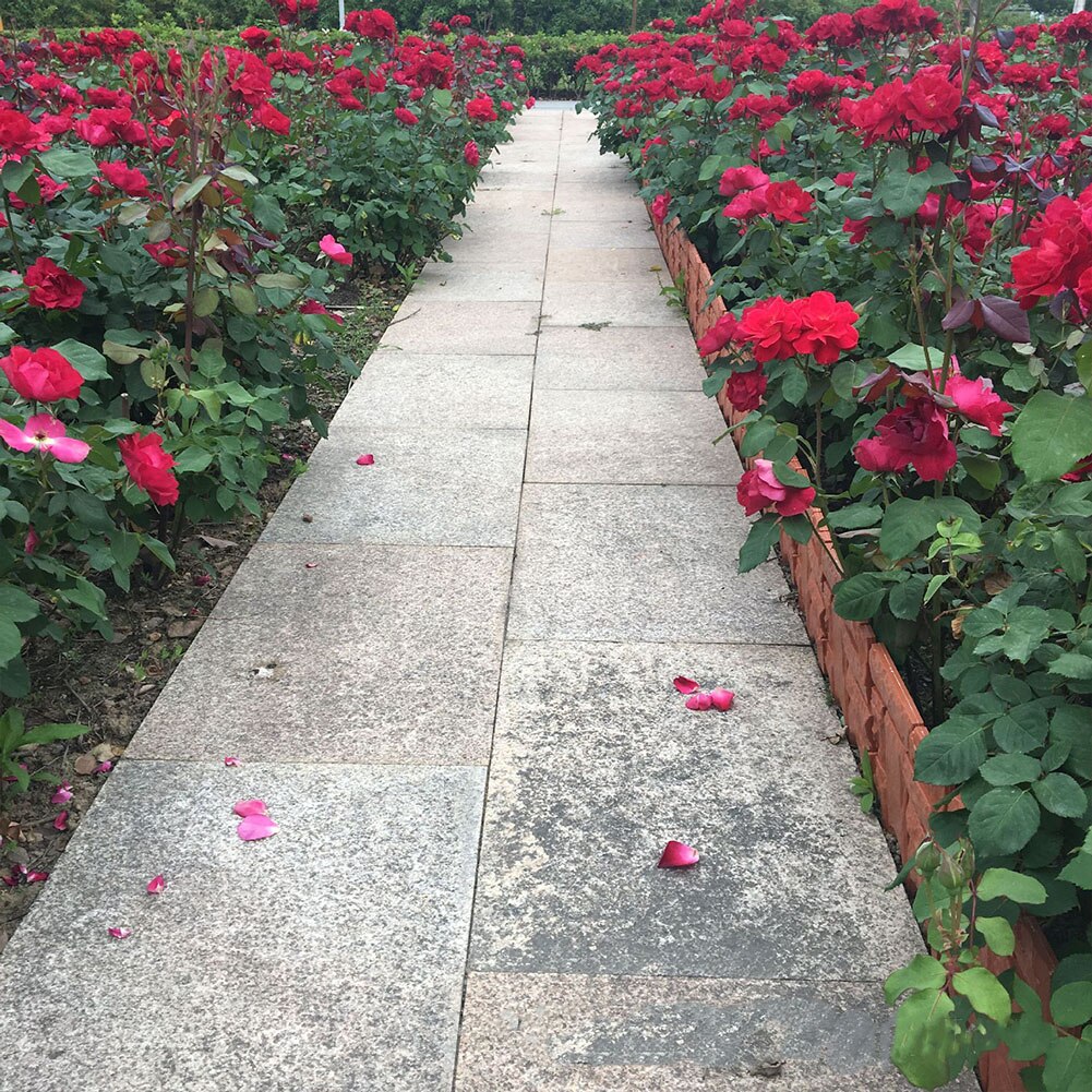 6 Pcs Garden Plastic Fence Edging Decorative Edging Fence, Faux Brick Landscape Fencing for Patios Gardens Landscape Walkways