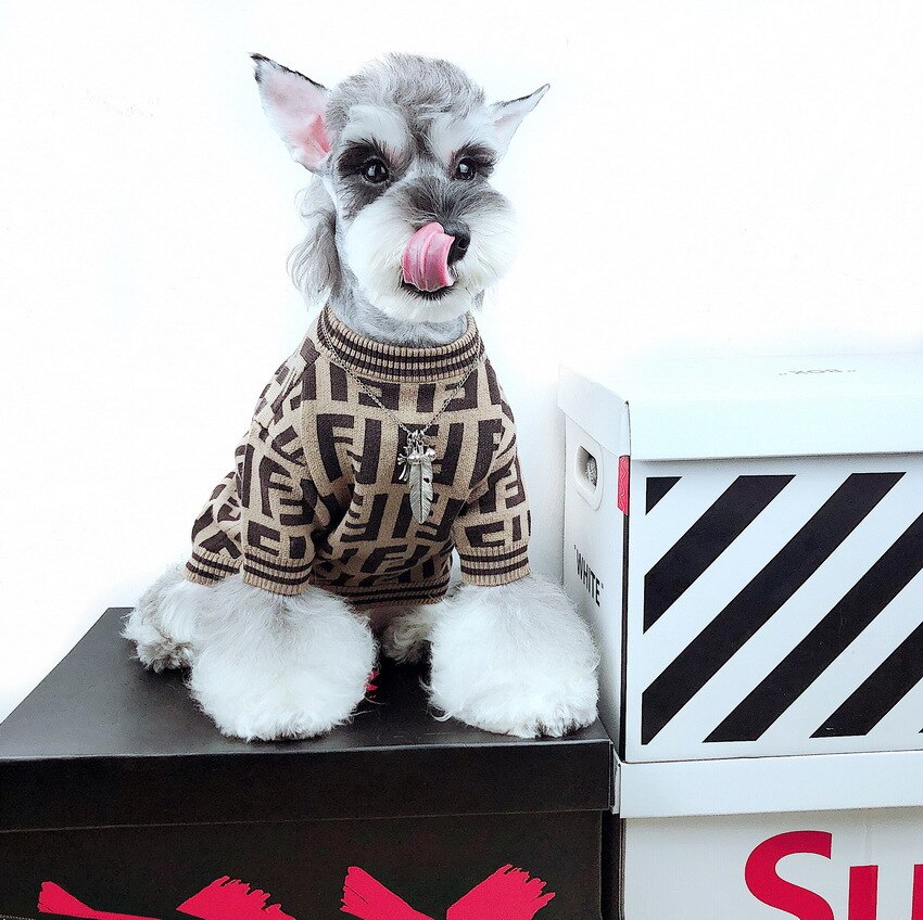 zwierzę domowe moda Marka Internet sława odzież placki kot buldog francuski Miś sznaucer szczeniak jesień i zima sweter sweter