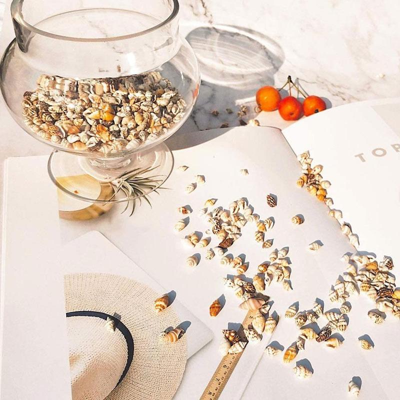 Concha de mar pequeña, conchas de playa artesanales, alrededor de 1300-1500