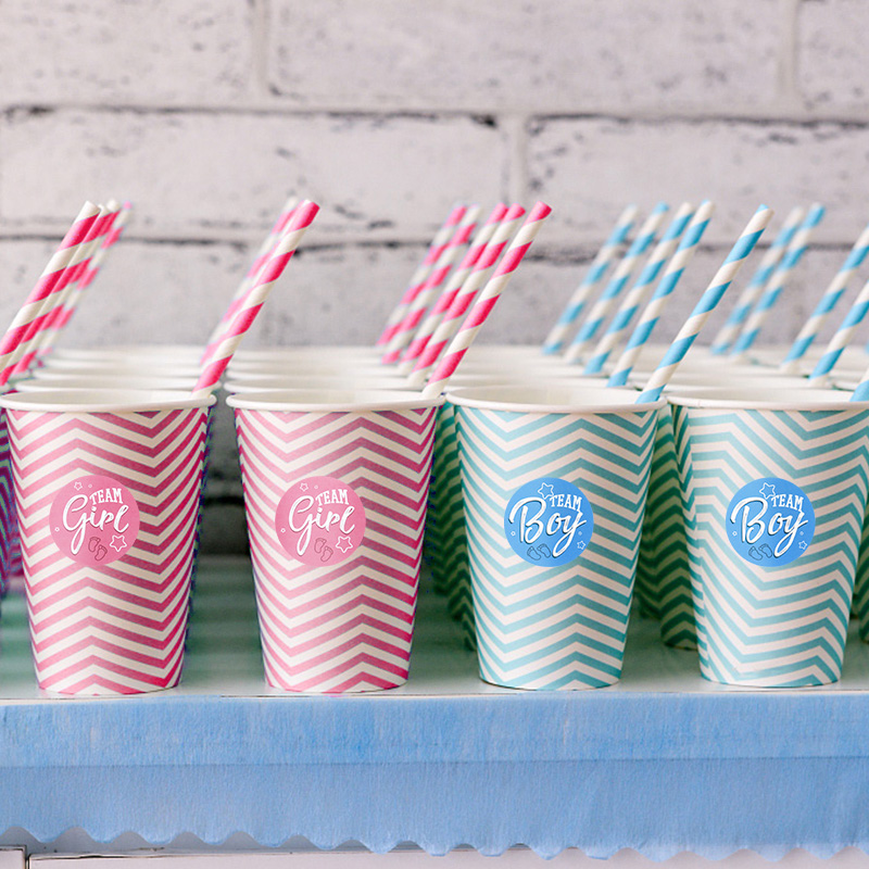 120pcs Team Boy Team Girl Stickers Boy or Girl Vote Sticker for Gender Reveal Party Decoration Baby Shower Packaging Seal Labels