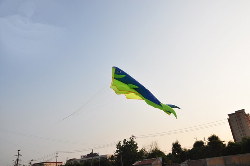 Cometa inflable de tiburón con forma de delfín para niños y adultos, juguete deportivo para exteriores, con hilo para cometas de 100m