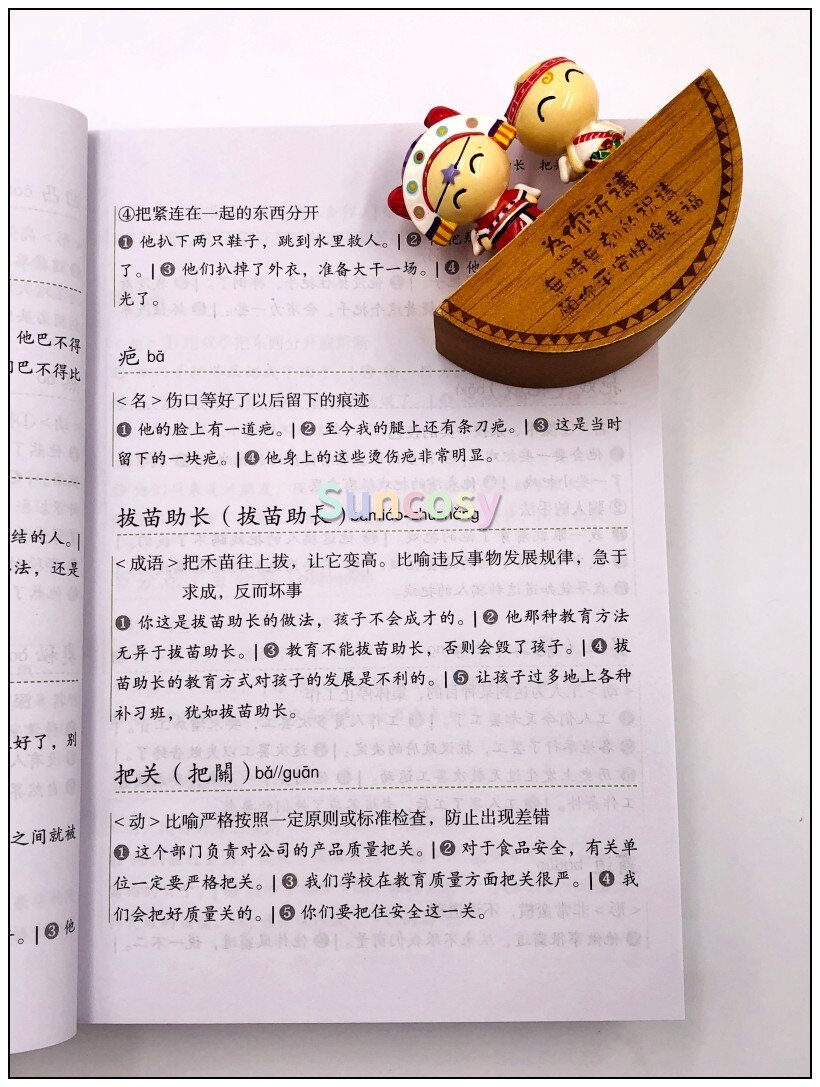 HSK 5000 Graded Words Dictionary (Levels 6) Chinese Proficiency Test Level 6 Vocabulary, HSK6