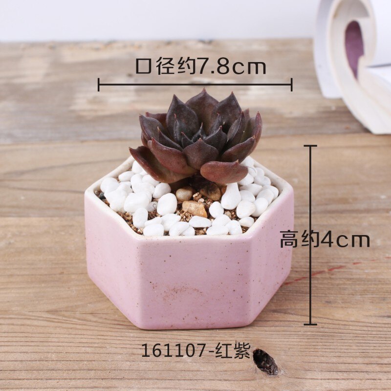 Maceta de cerámica pequeña y fresca con flor carnosa de JQWORV, macarrones arcoíris, macetero de dedo, plantación verde, adornos de escritorio, maceta: 1