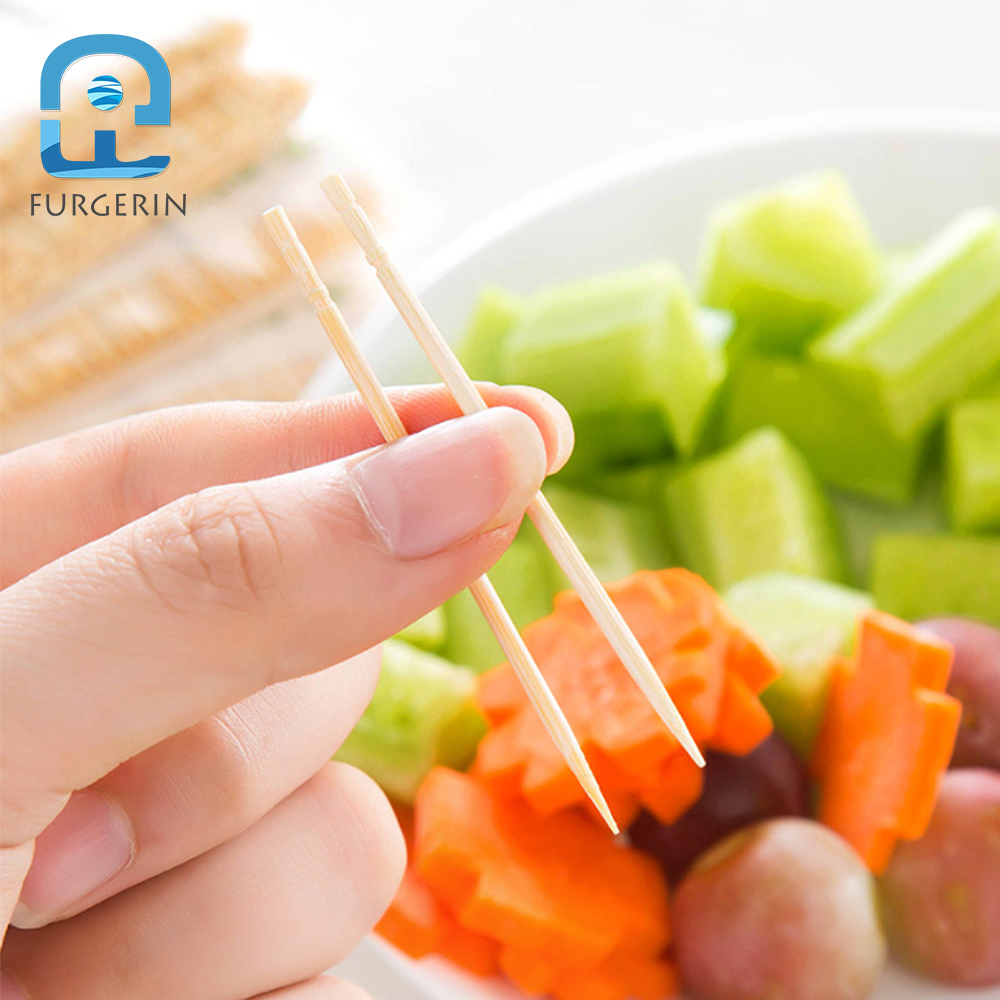FURGERIN Disposable Toothpick Box Wooden Toothpicks Decorative bamboo toothpick party toothpicks Tooth Pick Finger Food