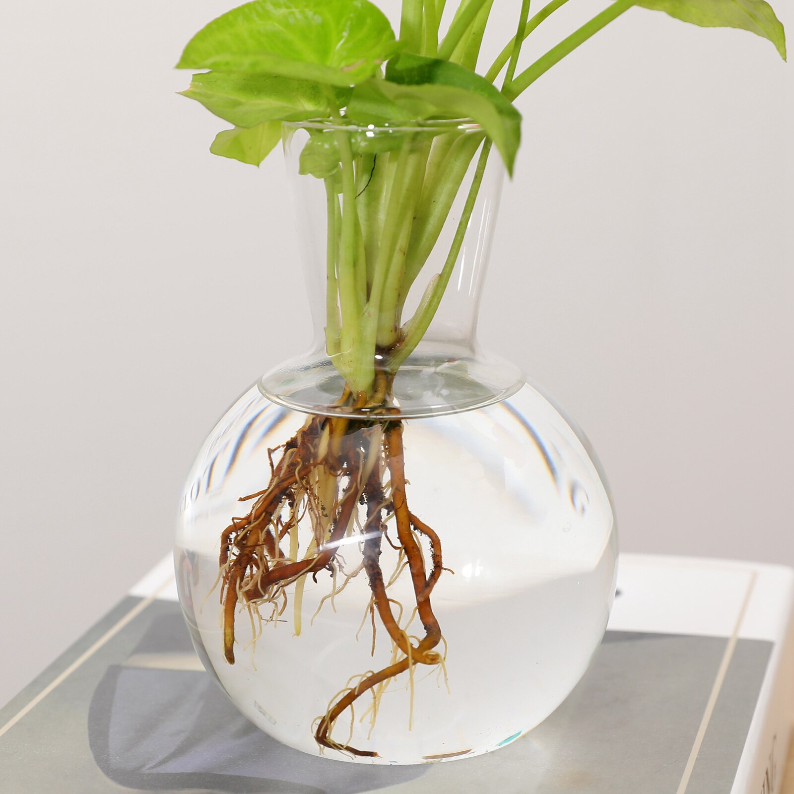 Clear Ball Bud Vase Transparent Round Glass Vase for Weddings Parties Table Centerpieces