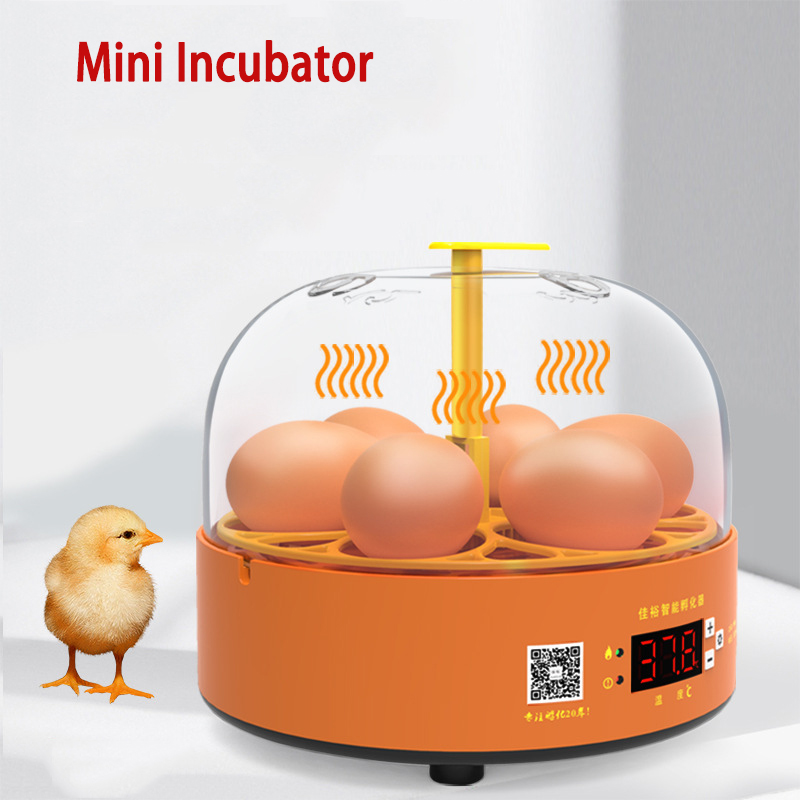 Mini 6 Egg Incubator Poultry Incubator Brooder Digital Temperature Hatchery Egg Incubator Hatcher Chicken Duck Bird Pigeon
