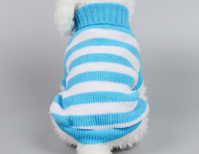 Pull tricot chaton chiot | Chien chat, tricot classique col roulé, tricot animal de compagnie, automne hiver manteau vêtements 3 couleurs: Bleu / S