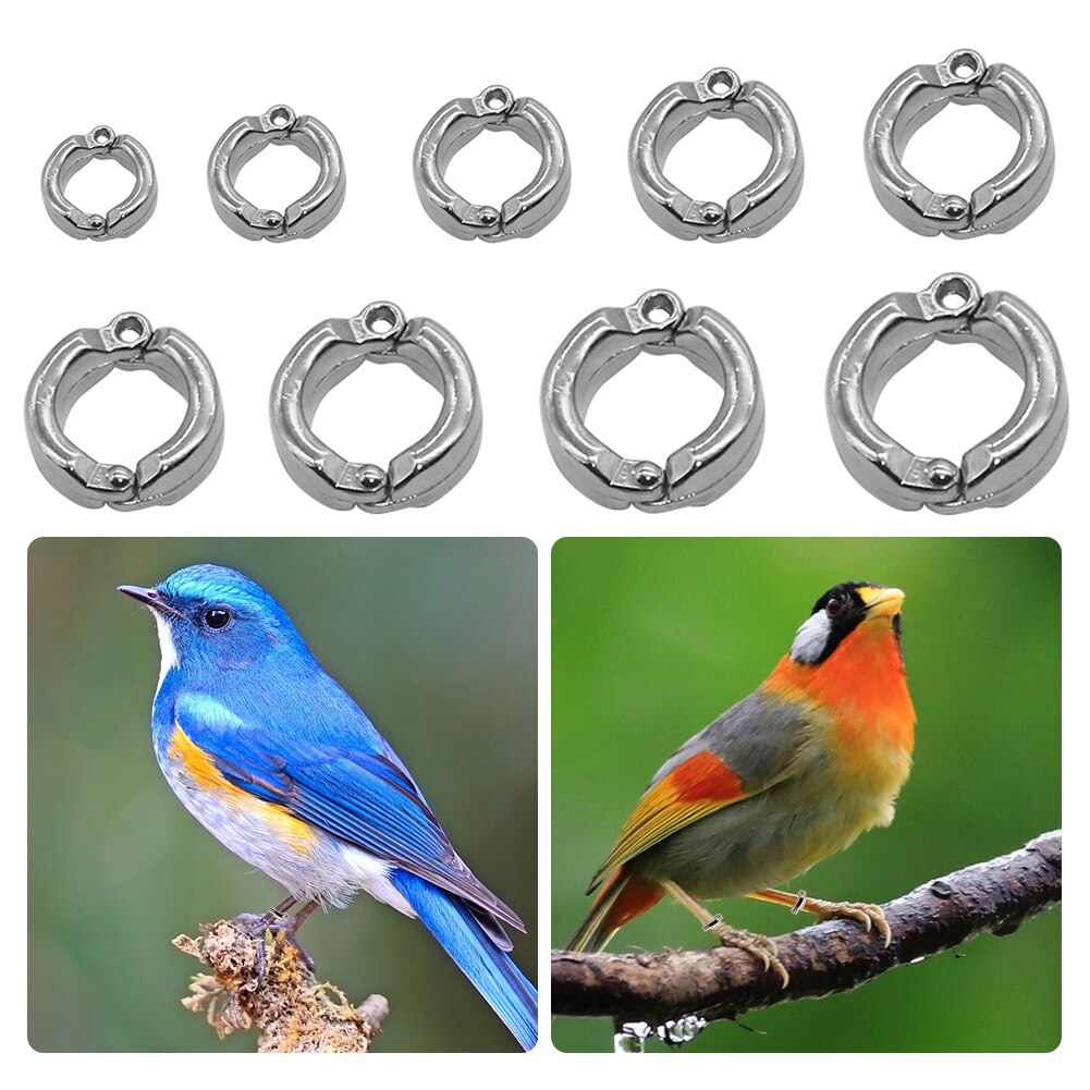 Bird Foot Ring Outdoor Flight Training Tool Plastic Clip Ring Pigeon Dove Quail Foot Ring Competition Identification Label