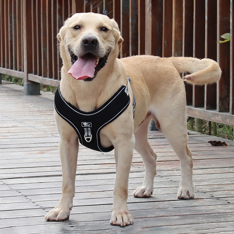 Large Dog Harness Vest big Dog Harnesses Breathable Mesh pet Walking lead Reflective dog chest strap for Labrador Husky Dogs