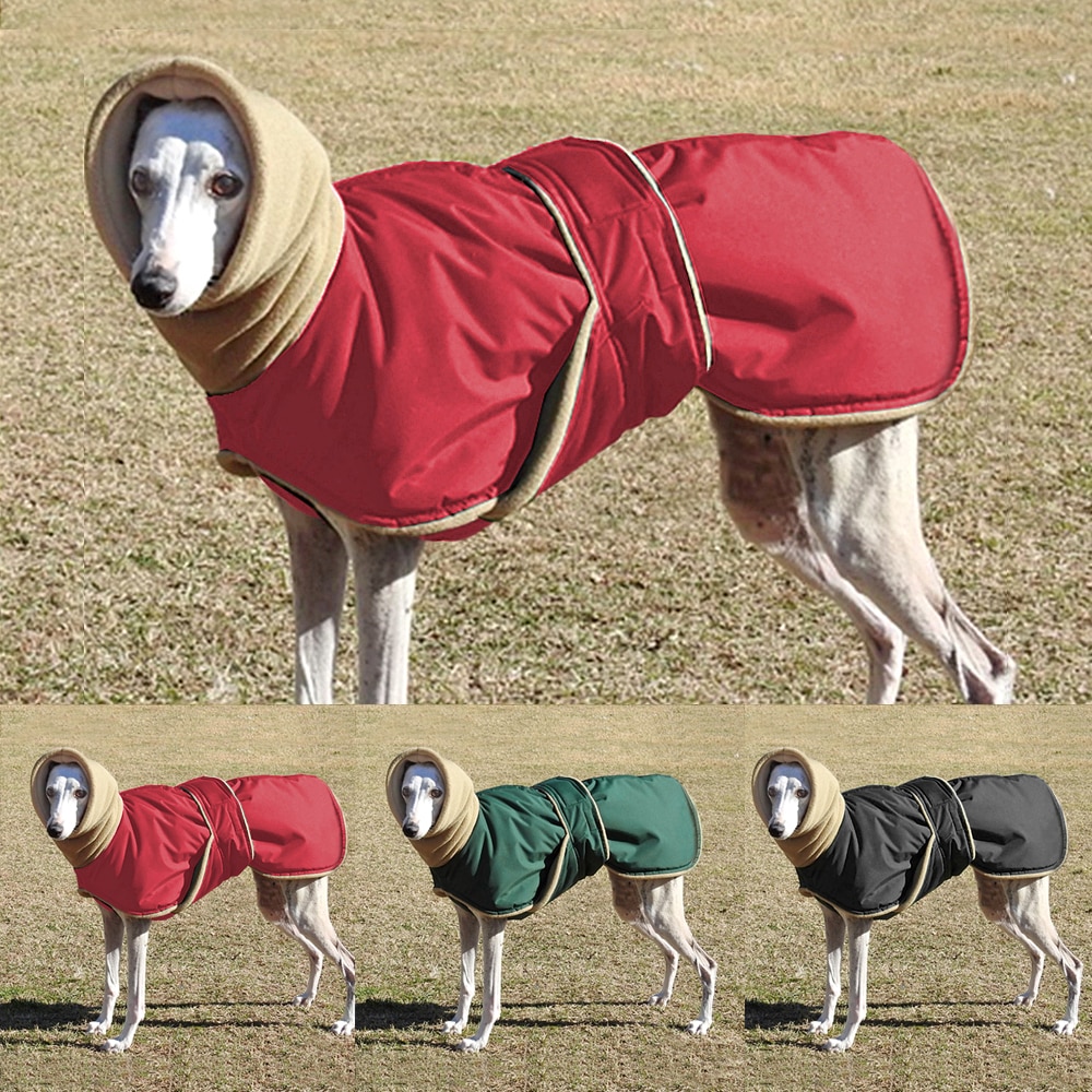 køn Akkumulerede Zoom ind Vinter varmt hundetøj vandtæt tykt hundejakke tøj rød sort hundejakke med  snorehul til mellemstore hunde vinthund – Grandado