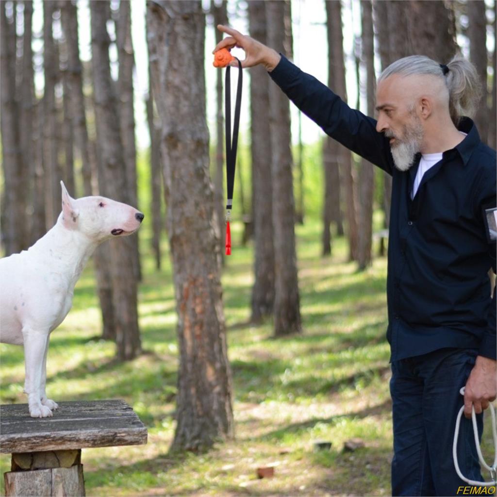 Dog Training Set, 5 Pieces Dog Whistles and Dog Training Clicker with Lanyard