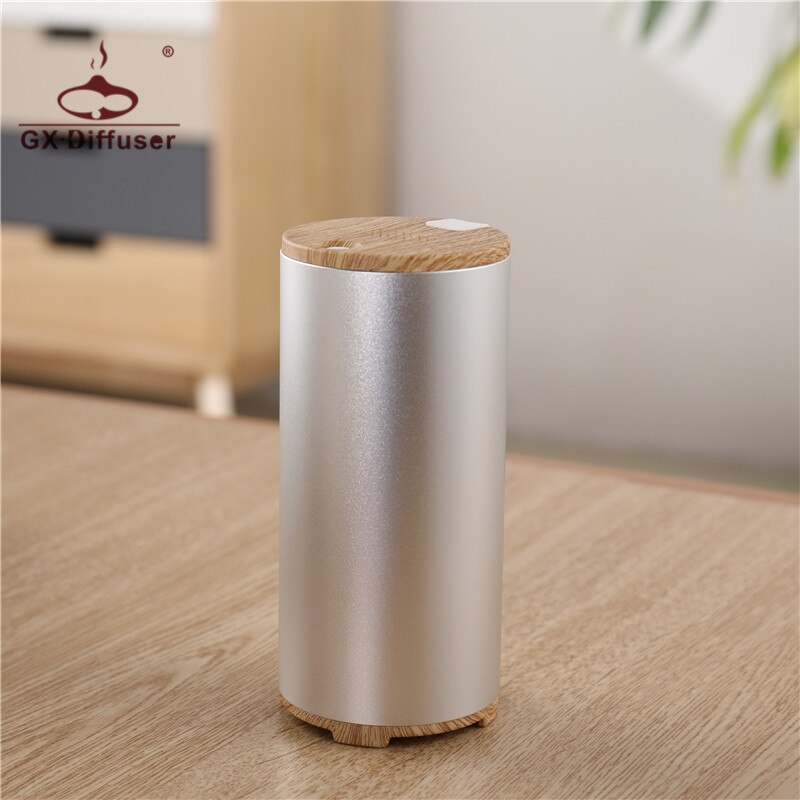 GXDiffuser Portable Ozone Generator USB Rechargeable Mini Air Purifier Odor Eliminator Bacteria Sterilizer Battery Air Freshener: Silver
