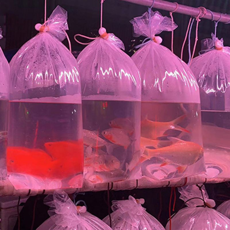 Sacs d'expédition en plastique étanches pour poissons vivants joint Double fond Transparent pour le stockage d'eau douce et d'eau salée