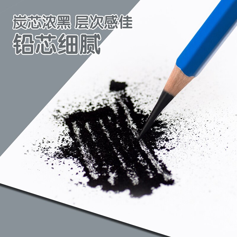 12 Pcs/Set drawing pencil Charcoal Soft/Medium/Hard Carbon Pencil Art Student Special Hand-painted HB Painting Draw Exam Pen
