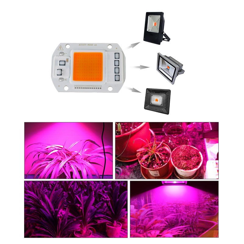 Cob led vokse lys lampe chip fuldt spektrum 220v 110v 20w 30w 50w 380-780nm phyto lampe til indendørs plante frøplante blomst fitolampy