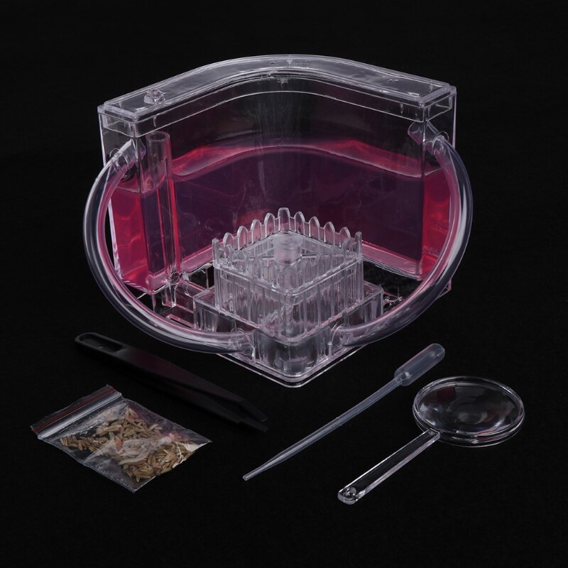 3D Ant Farm Educational Maze Live Feeding System Ants Habitat World Pet Villa 67JB