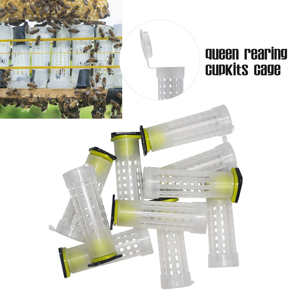 20Pcs Beekeping Tool Nicot Queen Rearing Cupkits C... – Vicedeal