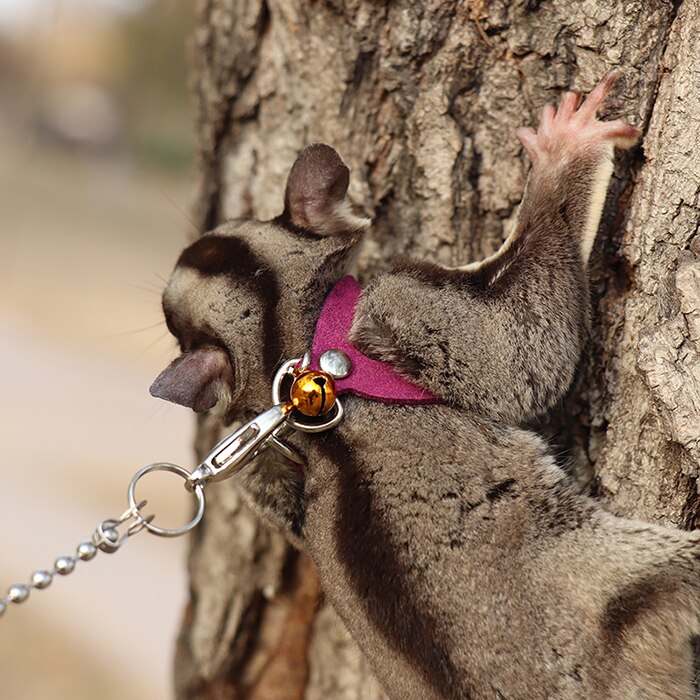 Sugar Glider Towing Harness Little Pet Outdoor Collar 3 Size In One Anti-lost Clothes Leash For Small Pet Supplies Leashes ZA212: plum