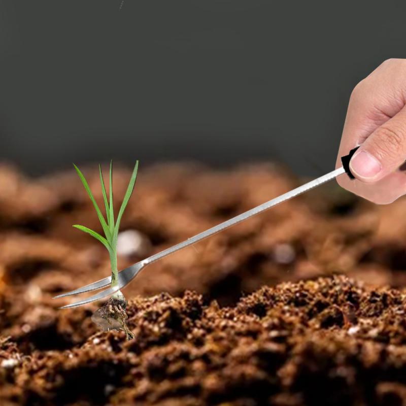 Désherbeur de jardin en acier inoxydable, 1pc manches en bois, coupe-désherbage manuel, outils d'extraction de pissenlit, désherbage multifonction, transplantation