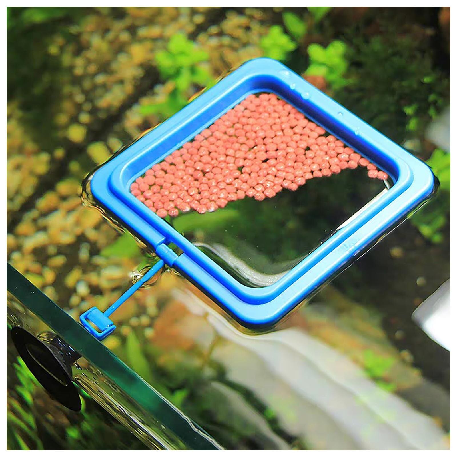 Aquarium Zuignap Feeder Aquarium Ring Feeder Aquarium Station Drijvende Voedsel Lade Feeder Aquarium Accessoire Aquarium