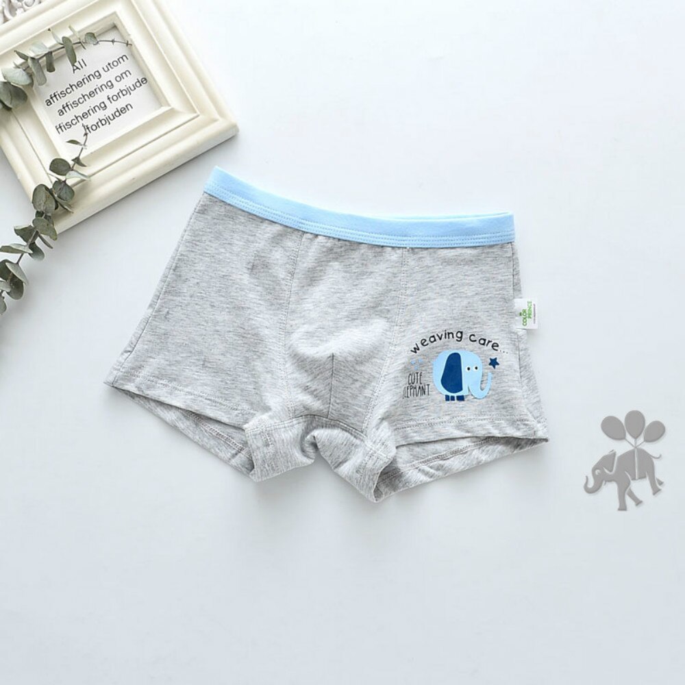 Pojk boxershorts i bomull 2 par