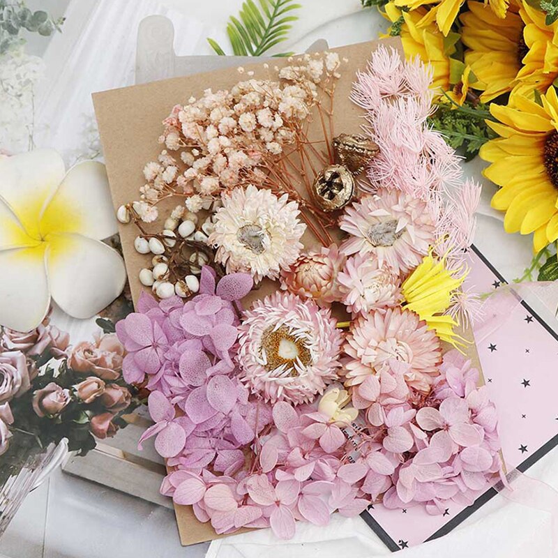 Fleur pressée mélangé fleurs séchées matériel pour bricolage aromathérapie bougies carte de voeux époxy artisanat boucles d'oreilles FAS6