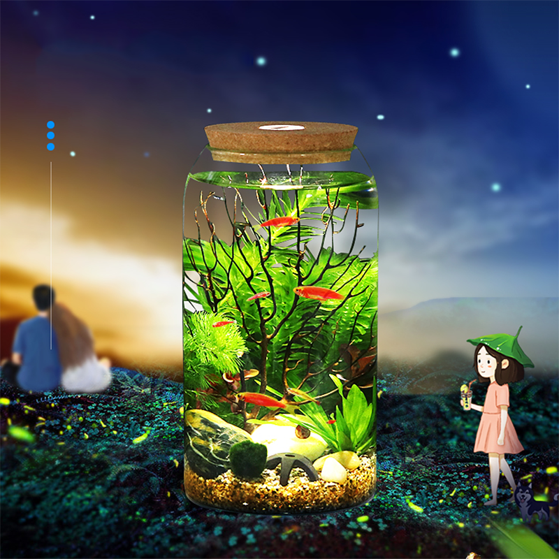 Botella ecológica de vidrio transparente con tapa para pecera, accesorios de acuario para paisajismo, Mini botella con pez