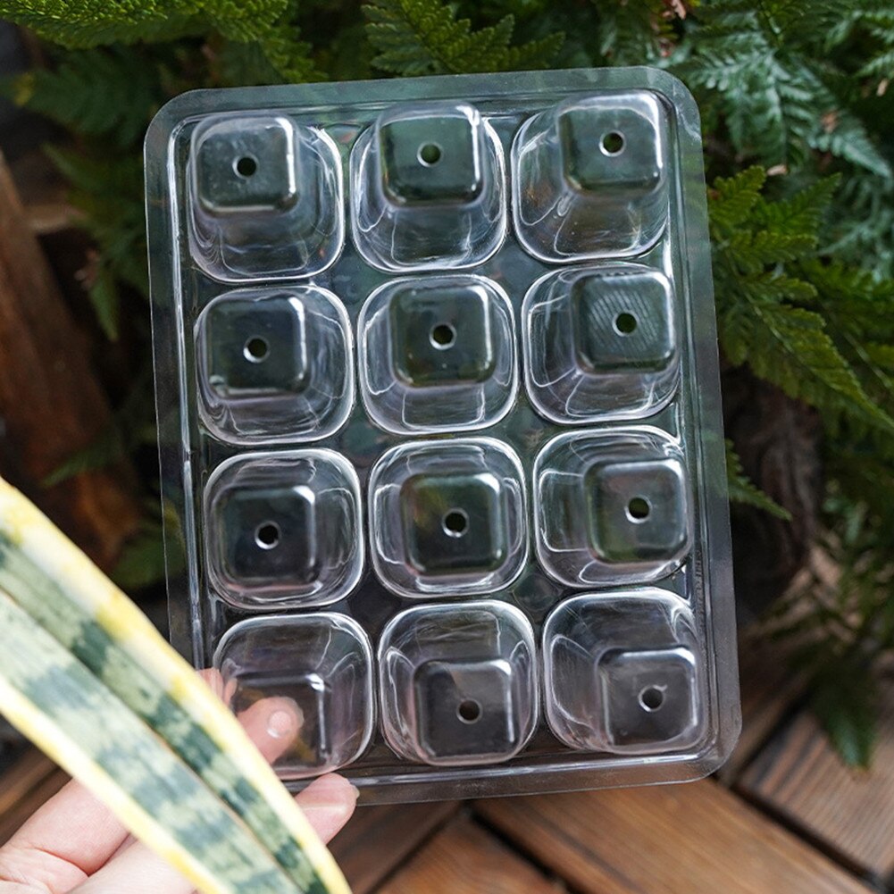 Nursery Plant Grow Box Plants Propagation Starter Transparent Lid Tray