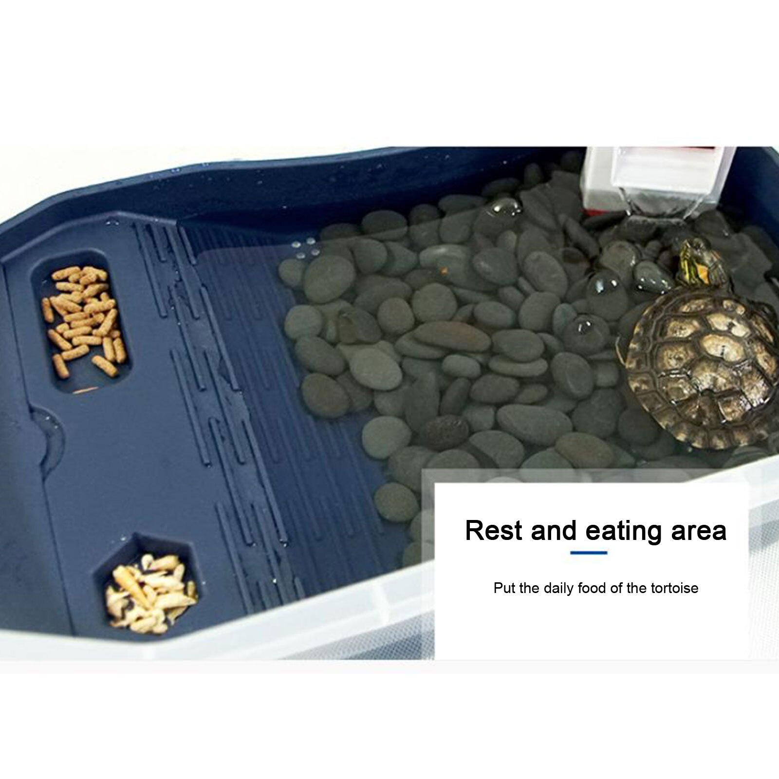 Turtle Tank Aquarium Tank Cleaner Dropper Filter Layer Villa Pet Bed Easy To Change Water Large Amphibious Tank Pet Lover