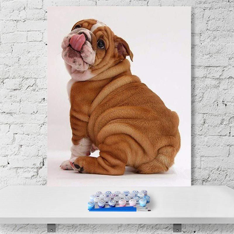 paint by number art painting by numbers Bernese Mountain Dog Shar Pei: 100265 / 40x50cm no frame