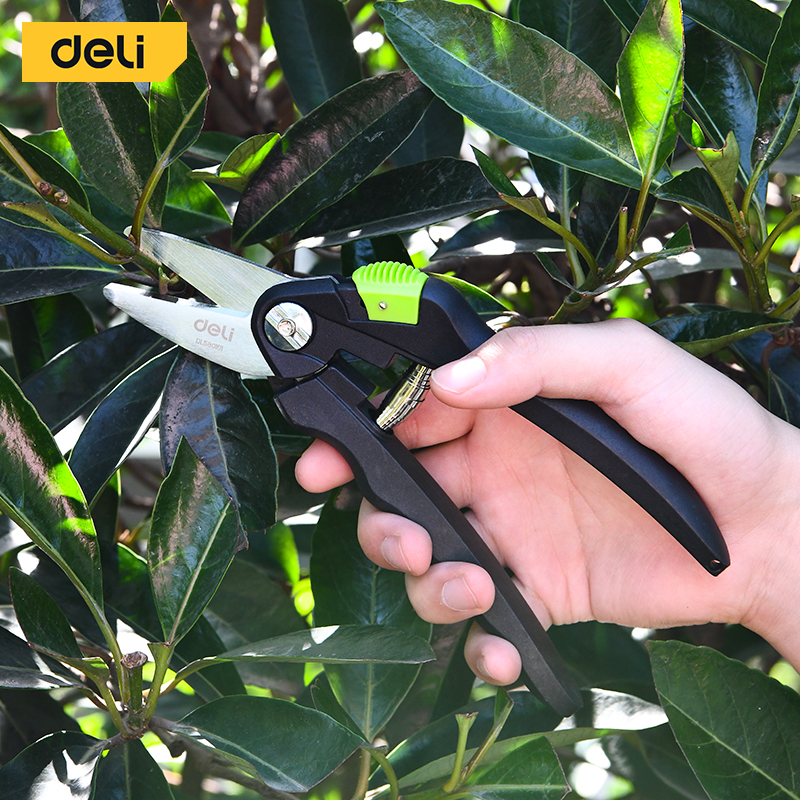 Deli-herramientas de jardín, tijeras de jardinería, podadora de flores, tijeras de jardín, tijeras de setos especiales para césped, ramas de poda para cortador de plantas