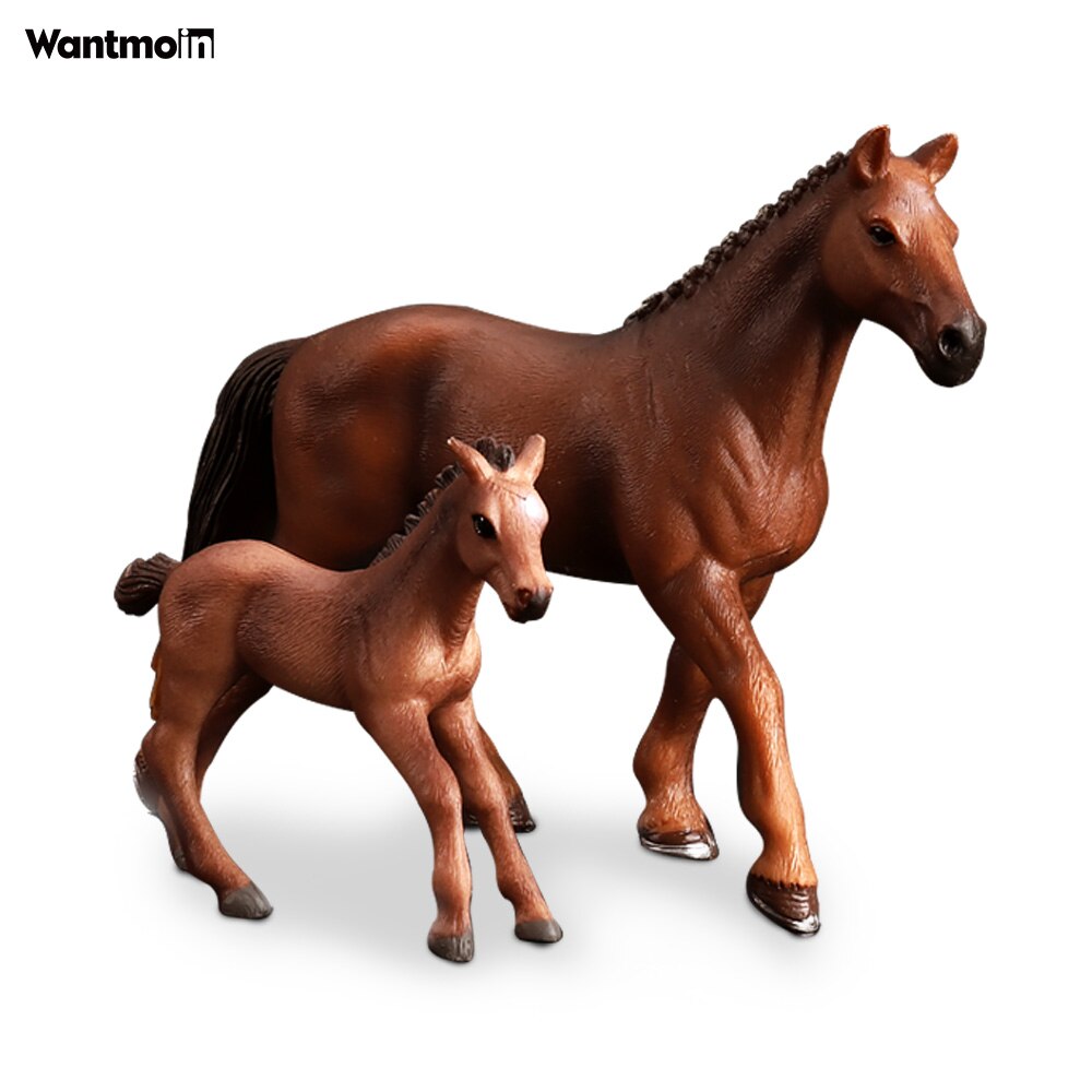 Wild Animals Model Family with Kangaroo Hippo Rhino Tiger Zebra/Realistic Wildlife Collection action figure for kids