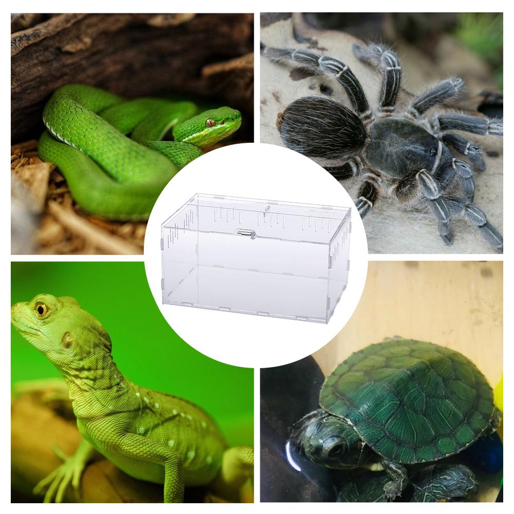 Avlsboks krypdyr fôringsboks akryl terrarium edderkopp til klatring kjæledyr terrarium slange edderkopp øgle skorpion tusenbein: misligholde tittel