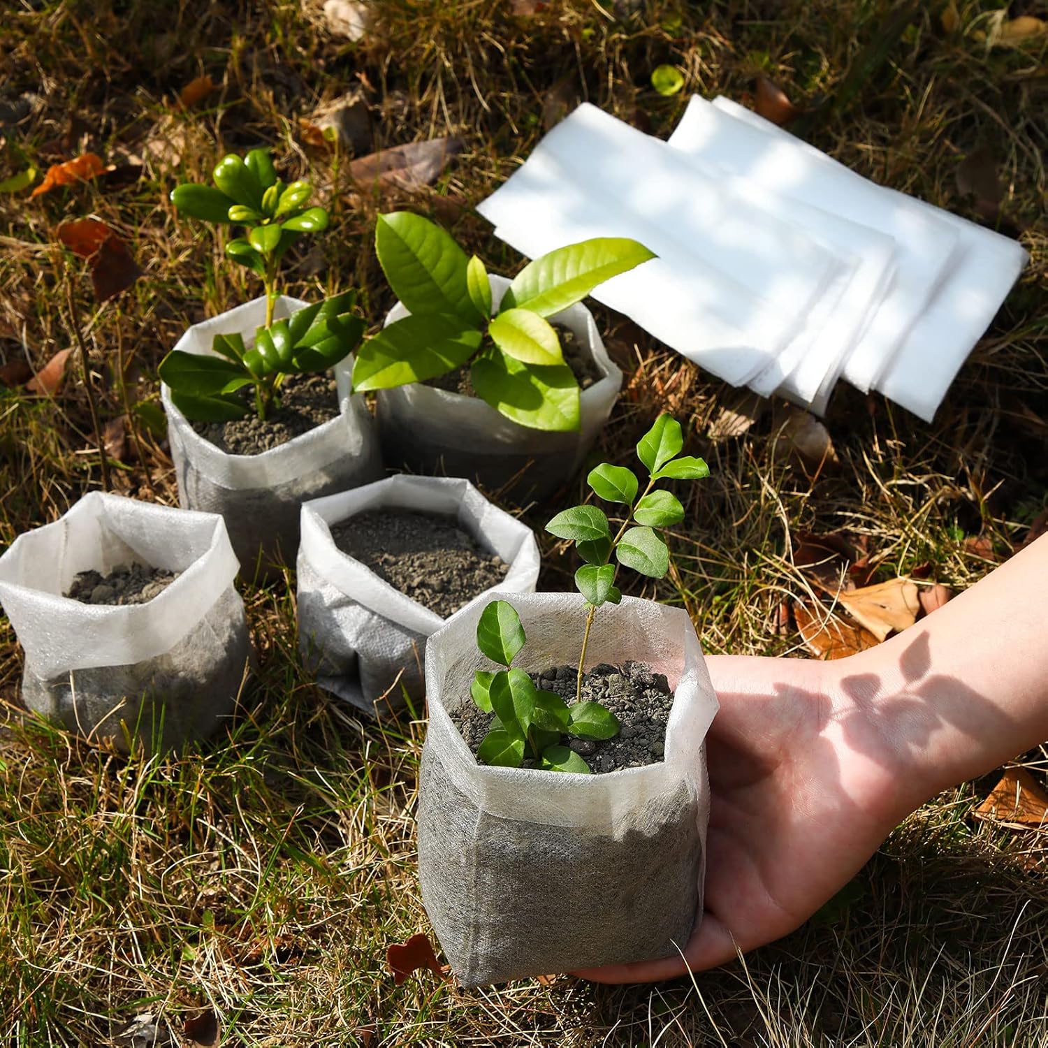 1000 stück vlies-pflanzsäcke für gemüse, setzlinge, blumen, obstbäume, gartenbedarf für sterben landwirtschaft