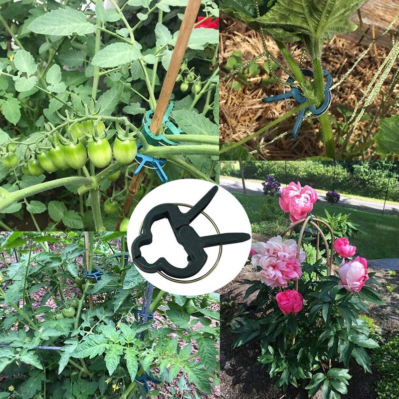 20Pcs Plant Support Clips Tomato Flower Vine Seedling Stem Bracket Pole Fixed Clamps Reusable Grafting Stakes Connector Clip