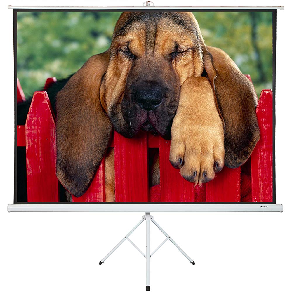 Projector Scherm Met Standaard 60 72 84 100 Inch Outdoor Mat Wit Projectiescherm 16:9 Hd Premium Kreukvrij statief Scherm