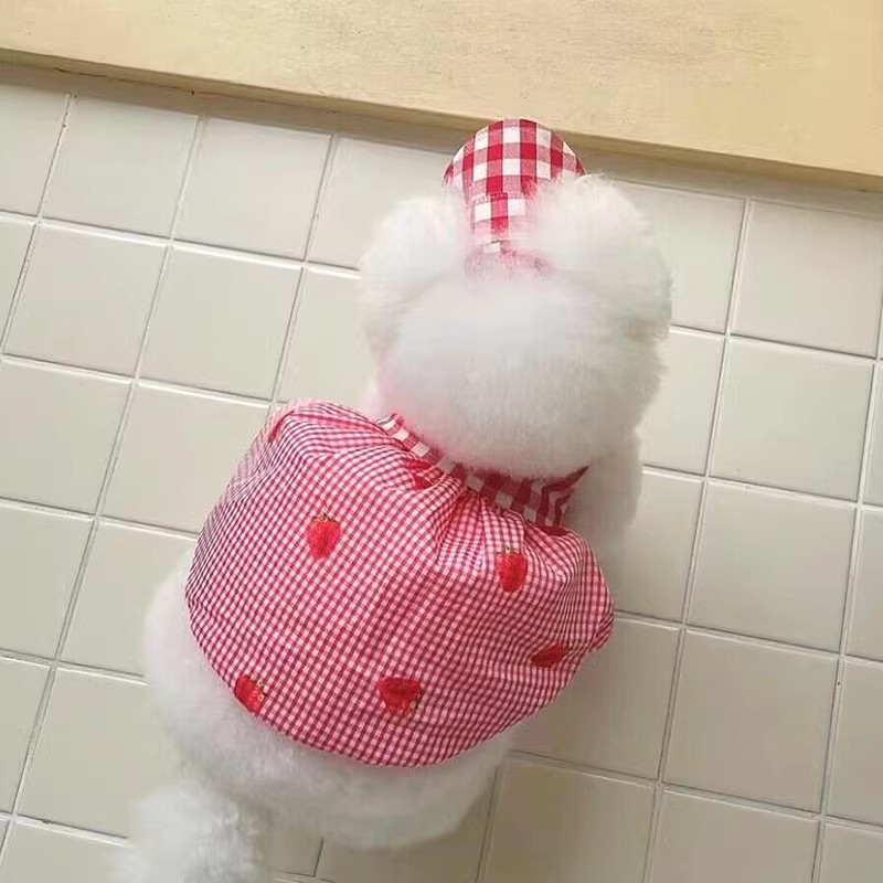 Sommer-Hundeweste, Haustier-Hosenträger, modisches Hunde-T-Shirt, rosa, kühlende Hundekleidung, kein Hütte, Chihuahua, Bichon, Hundebekleidung, Katze, Hundekleidung: M / Blau