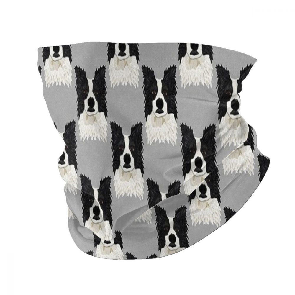 Hermosa Border Collie bufandas Bandana