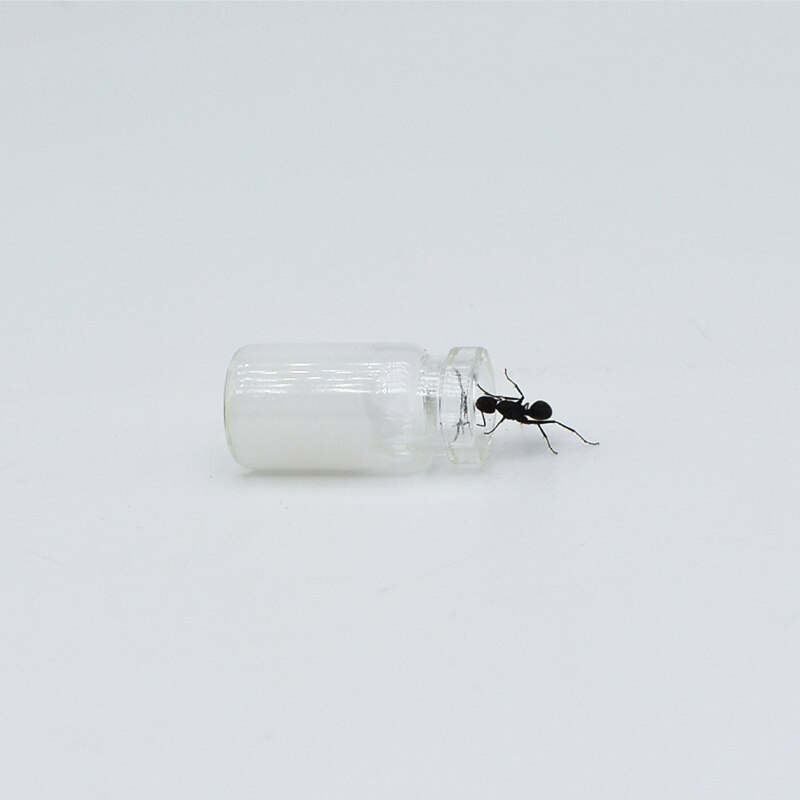 Nutritional Protein Ant Food Ant Workshop Ant Castle After Breeding Japanese Arched Ant Feed Pet Ant Food Pet Terrarium Supplies