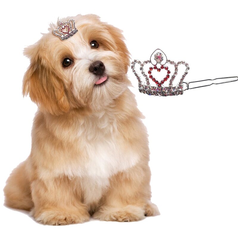 Pet Accessoires Crown Haarspeld Voor Puppy Kat Mooie Hond Haarspelden Hond Haar Grooming Duurzaam Pet Haar Decoratie