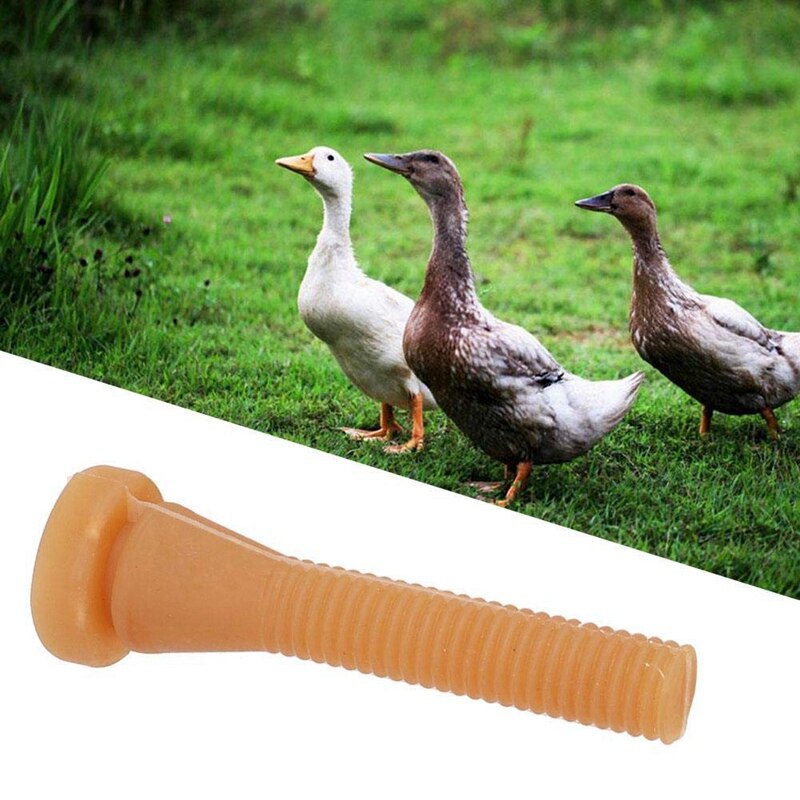 100 Bagues Poules Colorées Avec Numéros - Anneaux De Pattes Clipables Pour Volailles (poules, Canards, Oies) - 11