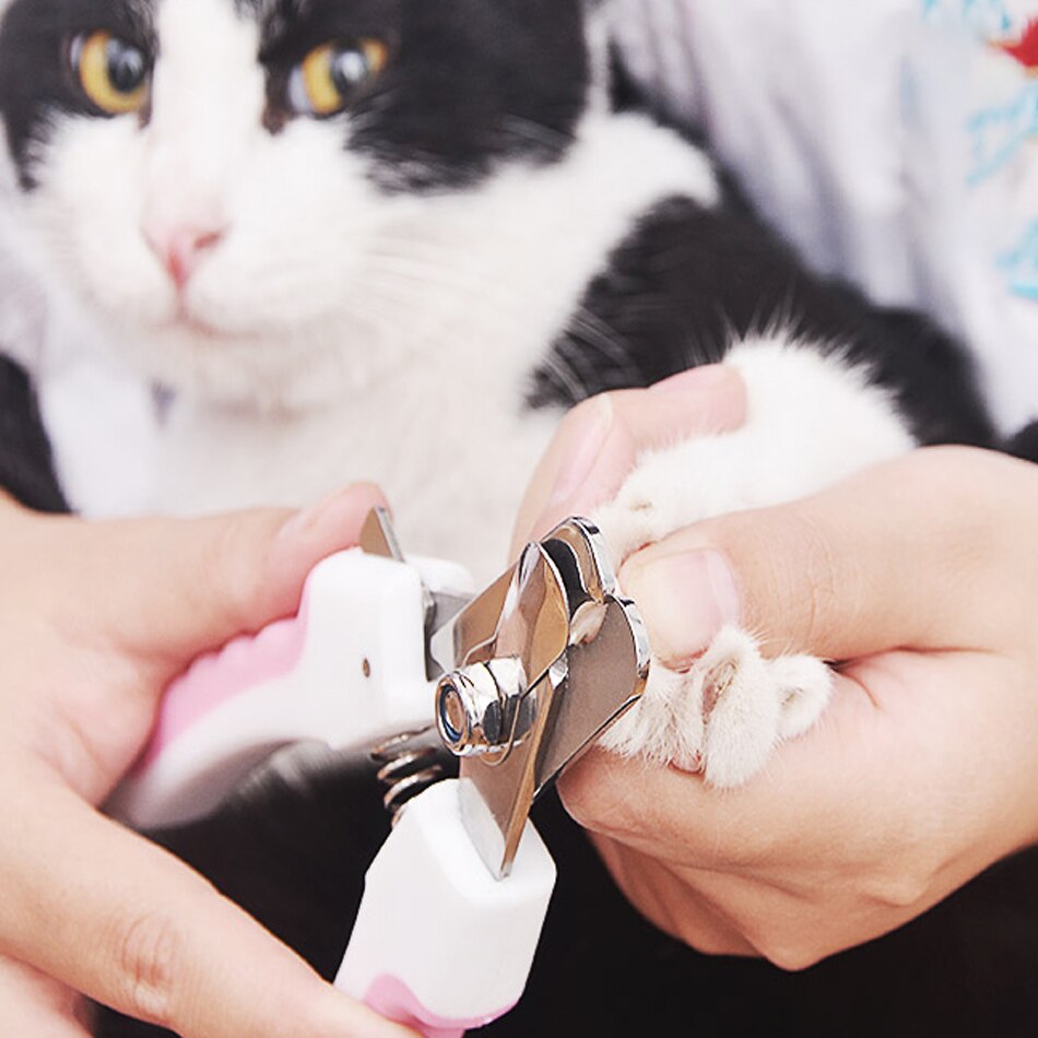 Prodotti per animali domestici, forbici per unghie per animali domestici, forbici per unghie in acciaio inossidabile per cani e gatti e tagliaunghie sono sicuri e affidabili