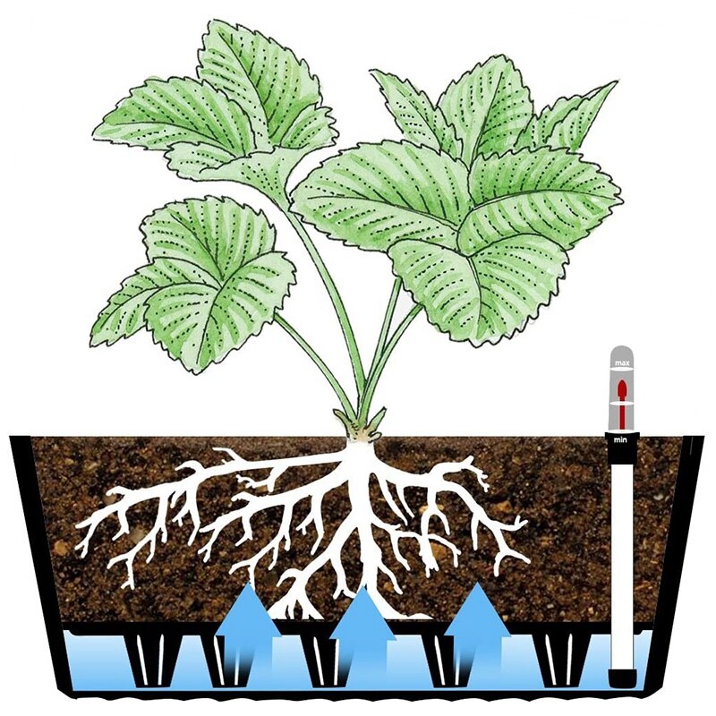 2PCS Self Watering Window Box Plastic Planter with Water Level Indicator Set Modern Decorative Plant Pot