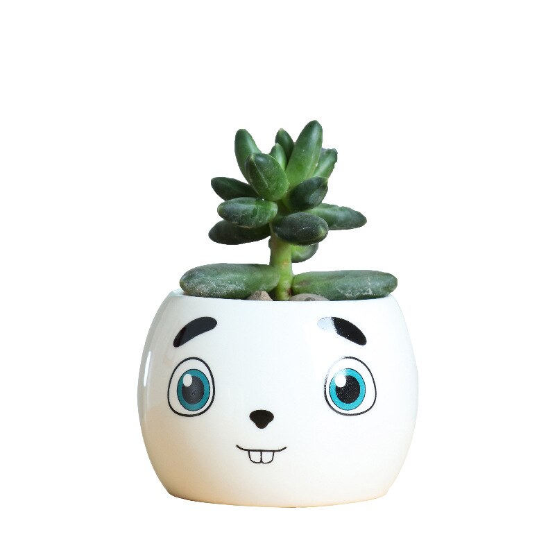Keramiek gezichtsuitdrukking bloempot eenvoudige vetplant container groene plantenbakken kleine bonsai potten huisdecoratie