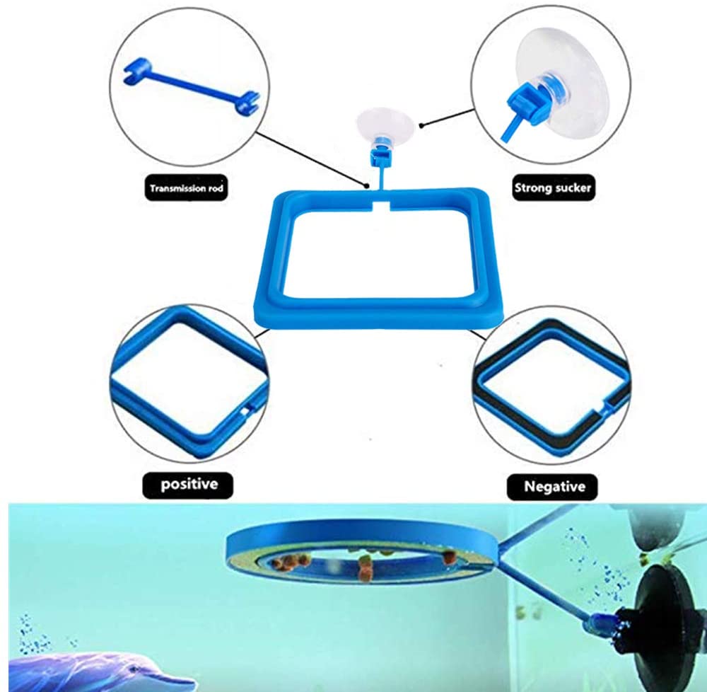 Anillo de alimentación para peces, alimentador de comida flotante seguro para peces, circular azul con ventosa, fácil de instalar, Forma cuadrada y redonda para acuario
