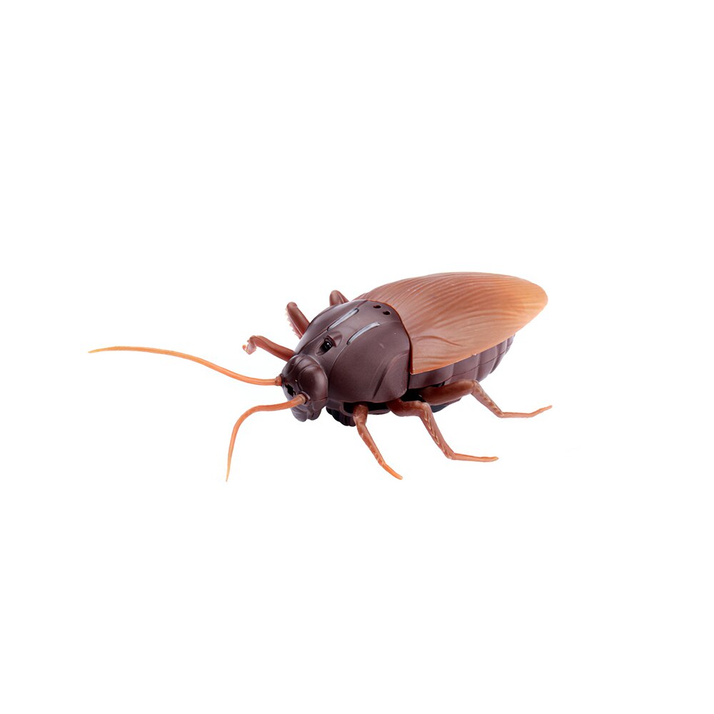 Jouet pour blague d'insecte, 1 pièce, effrayant, caniche en mouvement, Animal RC, Horrible, électricité, faux cafard, d'halloween: Default Title