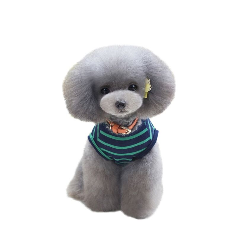 Welpen Hund Streifen Weste Spitzen Sommer Haustier Hund Katze Bluse Baumwolle Panzer Shirt Bekleidung