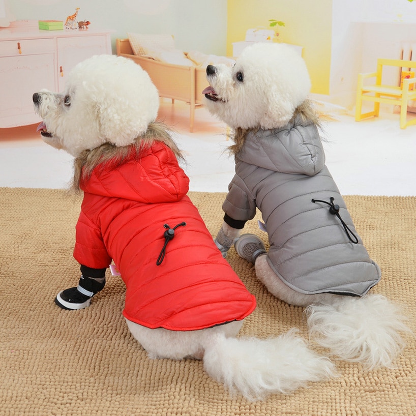 Sweat-shirt à capuche pour animaux de compagnie, vêtements chauds d'hiver pour petits et moyens chiens
