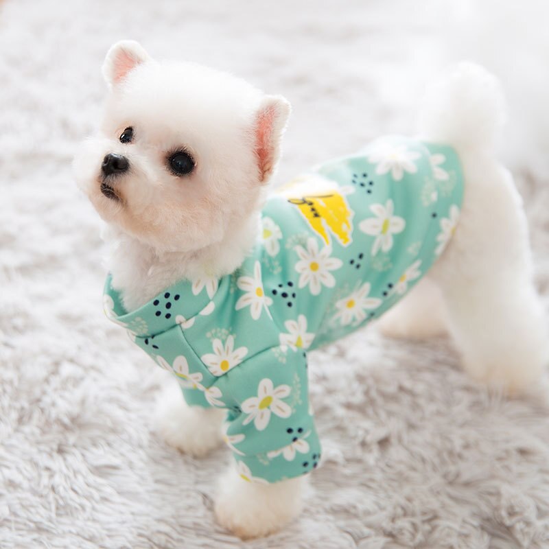 Bonito imprimir pequeno cão hoodie casaco dasiy inverno quente roupas para animais de estimação chihuahua moletom filhote de cachorro gato pulôver cães animais de estimação roupas